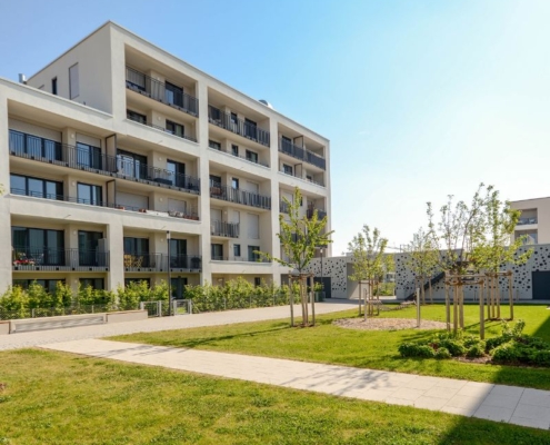 choosing the right living option for a senior