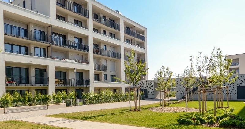 choosing the right living option for a senior